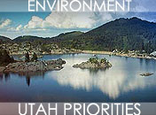 up_environment.jpg